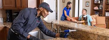 Best Pest Exclusion Services  in Williamston, SC